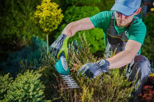 landscaping services Rolling Fields